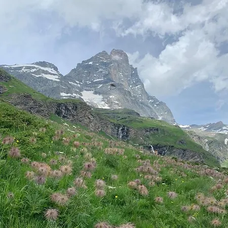 Lejlighed In Cervinia *