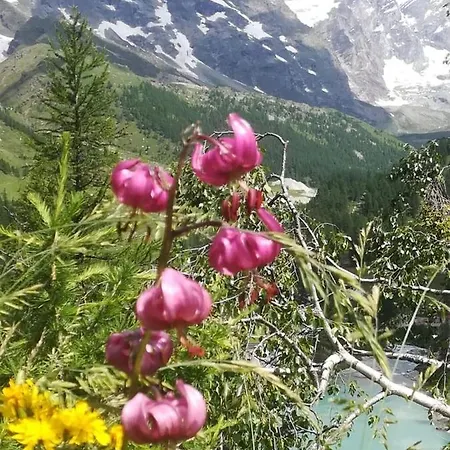 In Cervinia